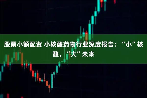 股票小额配资 小核酸药物行业深度报告：“小”核酸，“大”未来