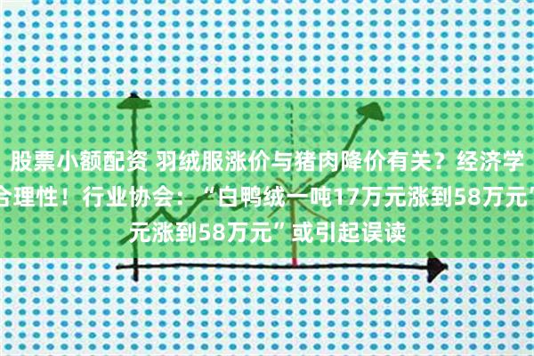 股票小额配资 羽绒服涨价与猪肉降价有关？经济学家：有一定合理性！行业协会：“白鸭绒一吨17万元涨到58万元”或引起误读