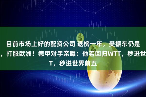 目前市场上好的配资公司 退榜一年，樊振东仍是大魔王，打服欧洲！德甲对手亲曝：他若回归WTT，秒进世界前五