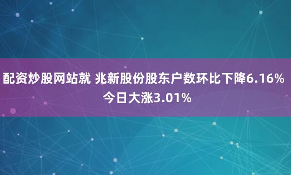 配资炒股网站就 兆新股份股东户数环比下降6.16%  今日大涨3.01%