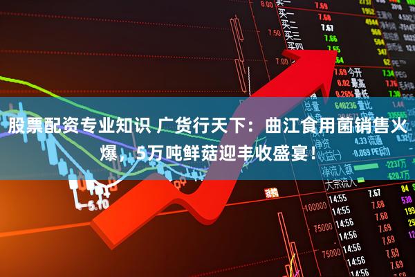 股票配资专业知识 广货行天下：曲江食用菌销售火爆，5万吨鲜菇迎丰收盛宴！